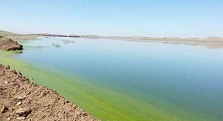 آلودگی دریاچه پساب نیشابور ۱۸ برابر استاندارد است