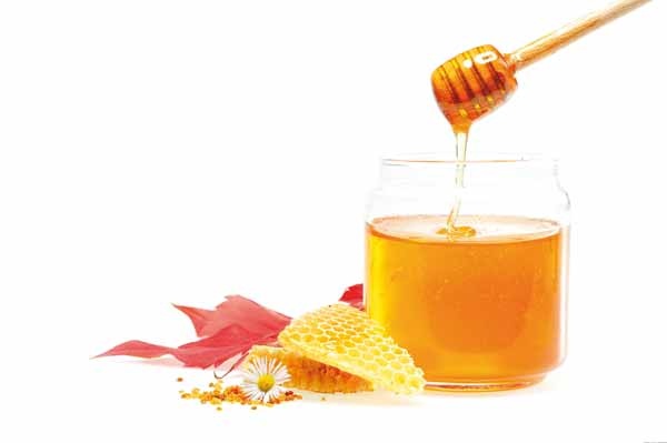 تولید عسل؛ شیرین و درآمدزا