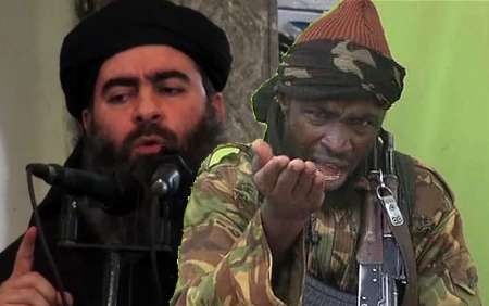 هشدار سازمان ملل درباره روابط بوکوحرام با داعش