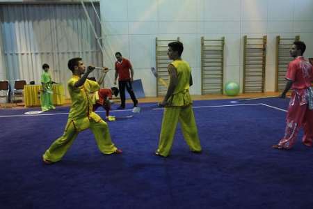 Wushu