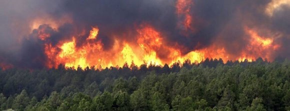 وقوع سه فقره آتش‌سوزی در عرصه‌های جنگلی و مرتعی بویراحمد