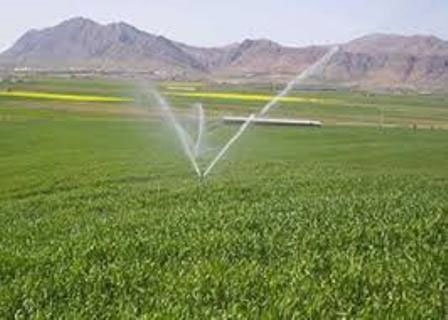 کاهش ۴۰ واحد درصد مصرف آب در حوضه آبریز دریاچه ارومیه در بخش کشاورزی