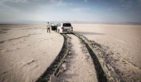 خشکسالی در برخی تالاب‌های فارس، جاده‌سازی کرد 