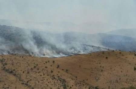 آتش به ۸۳ هکتار از مناطق جنگلی و مرتعی رستم فارس خسارت زد 