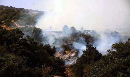 کاهش ۶۰ درصدی آتش‌سوزی در جنگل‌های تحت حفاظت سازمان محیط زیست 