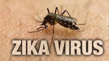 آشنایی با علائم اولیه آلودگی با ویروس زیکا