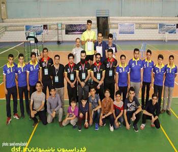 Badminton Teams