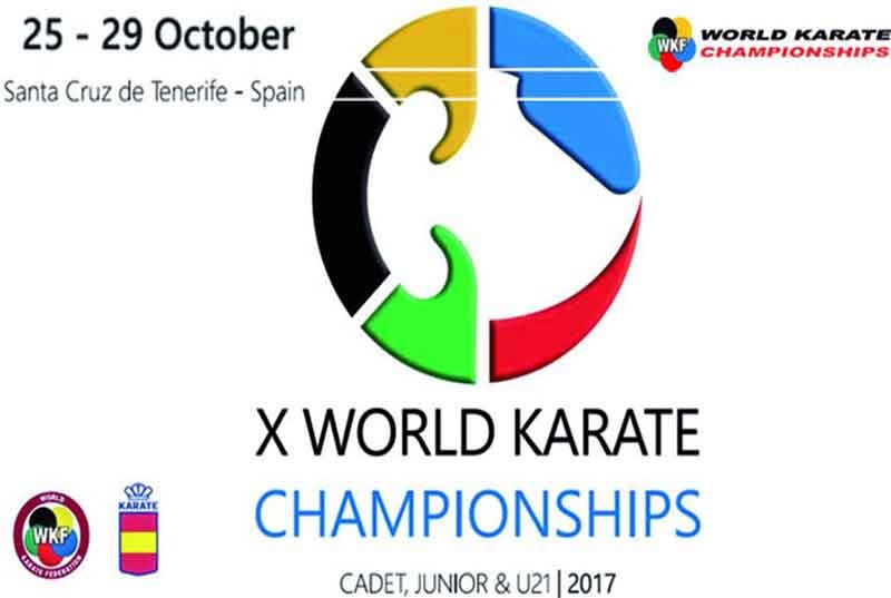 Karate Logo