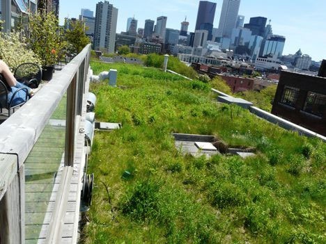 سقف‌های سبز آثار تغییرات آب و هوا را کاهش می‌دهند