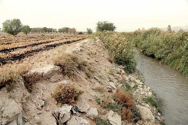آبیاری مزارع با آب آلوده