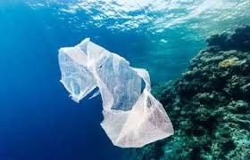 آلودگی پلاستیکی در اعماق اقیانوس‌ها بیش از تخمین‌های قبلی است 