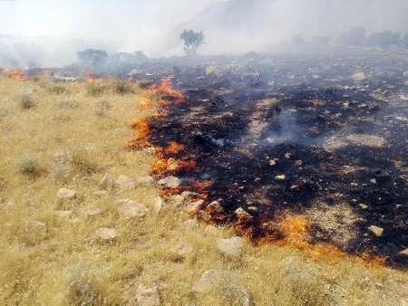 ۶۰ هکتار از مراتع تالاب هامون در آتش سوخت