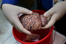  مغز انسان چطور از زمان آگاه می‌شود؟ 