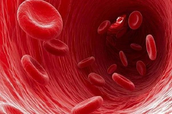 آشنایی با راه‌های بهبود جریان خون در بدن