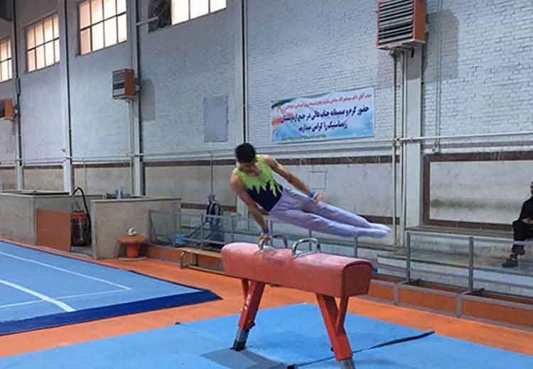 Gymnastic