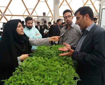 اولین پیوند سبزیجات در ایران به ثمر نشست