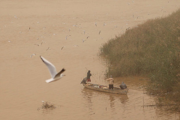 غلظت بالای گرد و غبار خوزستان برای کارشناسان غیرقابل باور است