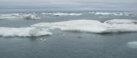 ناپدید شدن پهنه‌های یخ در اقیانوس منجمد شمالی تا ۲۰۴۰