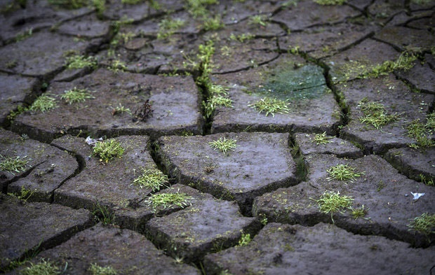 خشکسالی در پارک ملی سیاهکوه یزد باقی است