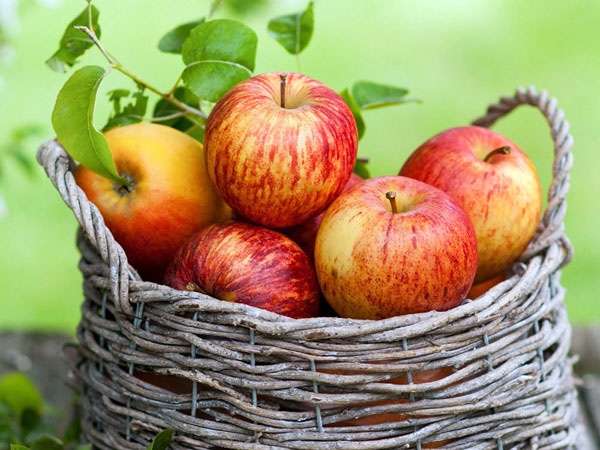 به این ۱۴ دلیل سیب بخورید