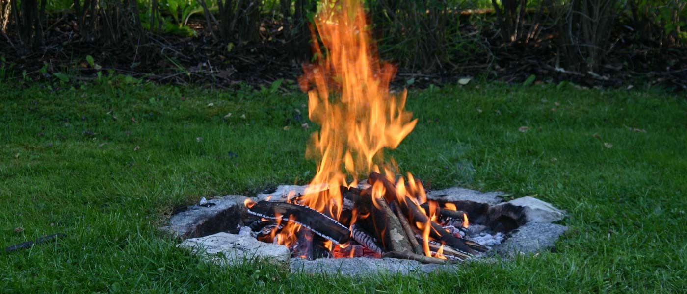 سازمان جنگل‌ها پیگیر مصوبه “ممنوعیت روشن کردن آتش در منابع طبیعی” 