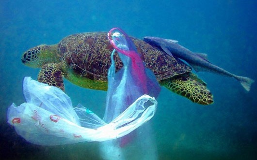 مسابقه نوآوری برای مبارزه با ریختن پسماند پلاستیکی در دریاها