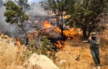 آتش‌سوزی در جنگل‌ها و مراتع پلدختر لرستان