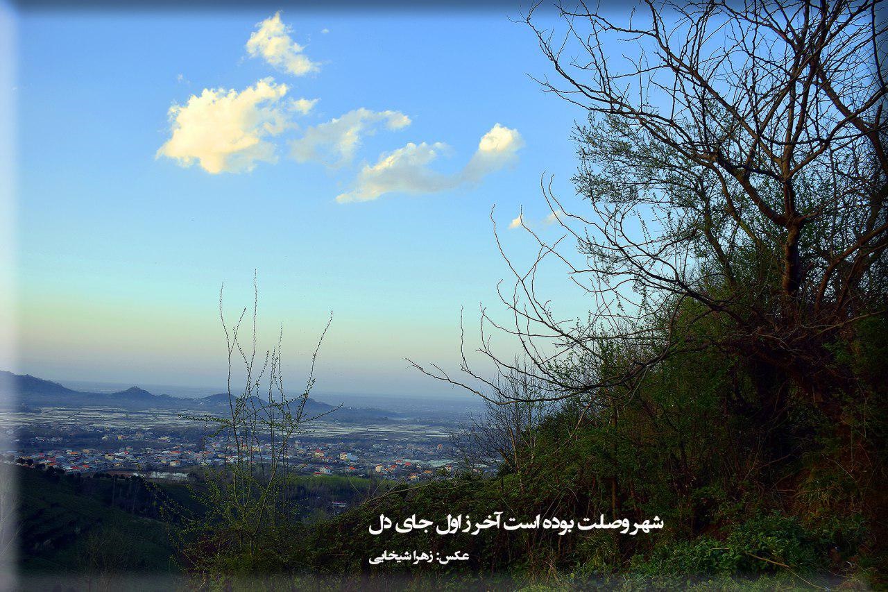 زهرا شیخایی