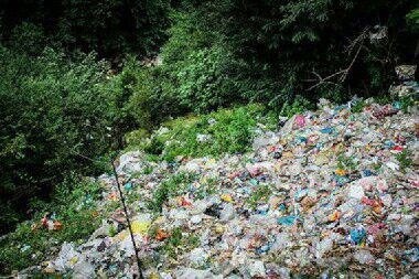 جولان زباله‌های سرگردان در طبیعت سبز گیلان 