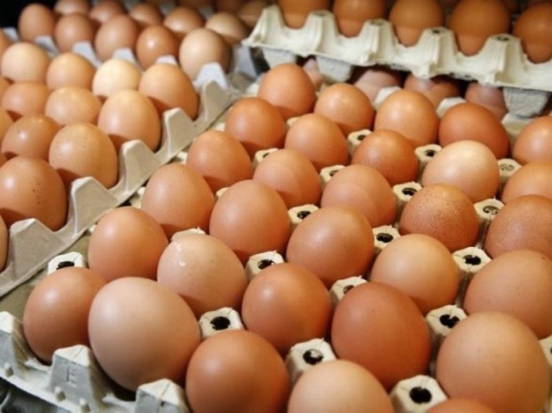 ۱۷ کشور درگیر تخم مرغ های سمی | بحران تخم مرغهای آلوده از اروپا به آسیا رسید