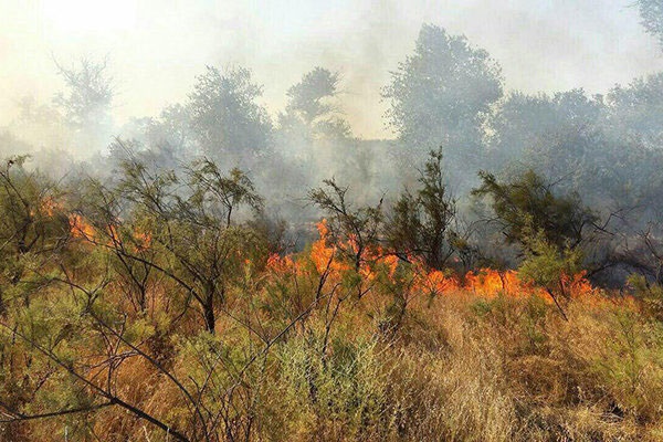 خطر آتش‌سوزی در جنگل‌های شمال  