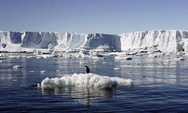 تاثیر گرمای جهانی بر تشدید رشد گونه‌ها در بستر آب‌های قطب جنوب 