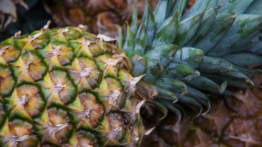 کشف صدها کیلوگرم کوکائین در آناناس تازه