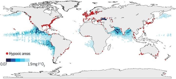 مناطق مرده اقیانوس‌ها ۴ برابر شده است 