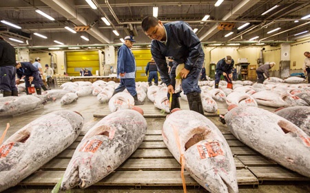 ژاپن | وداع با تسوکیجی؛ بزرگترین بازار جهانی ماهی