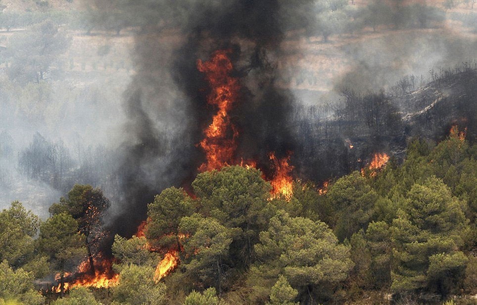 افزایش ۲۰ درصدی آتش‌سوزی جنگل‌ها در سال ۹۶ نسبت به سال ۹۵     