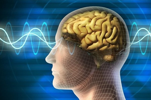 سه ساعت حیاتی برای نجات بیماران سکته مغزی