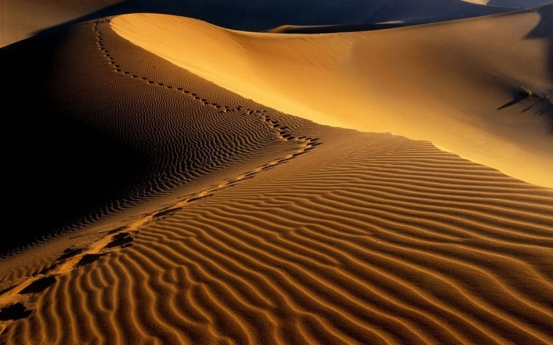 طی صد سال گذشته صحرای آفریقا بزرگ‌تر شده است    