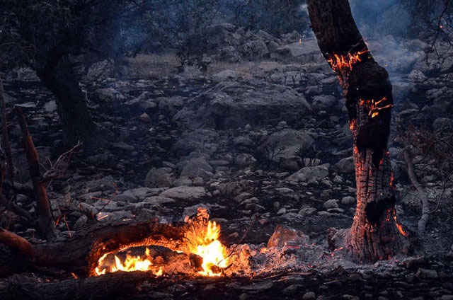 آماده باش منابع طبیعی گیلان برای مقابله با آتش سوزی در جنگل ها 