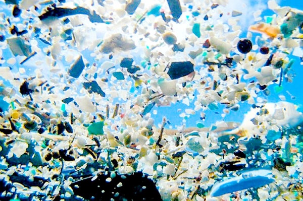 بحران پلاستیک در اقیانوس‌ها