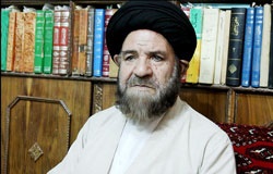 سیدهاشم بطحایی، نماینده تهران در مجلس خبرگان رهبری